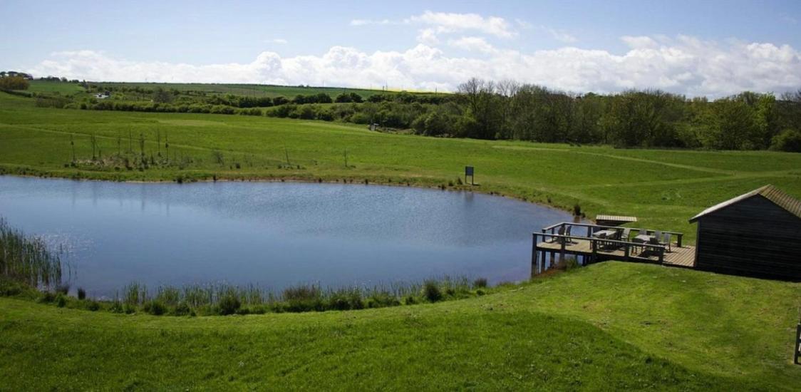 The Bay, Filey, Moonshine Cottage Ngoại thất bức ảnh